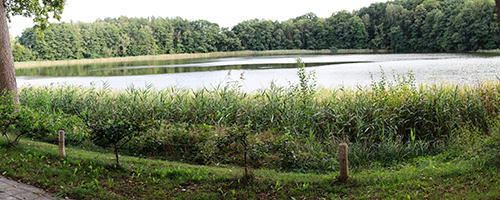 Kreuzsee Hartwigsdorf
